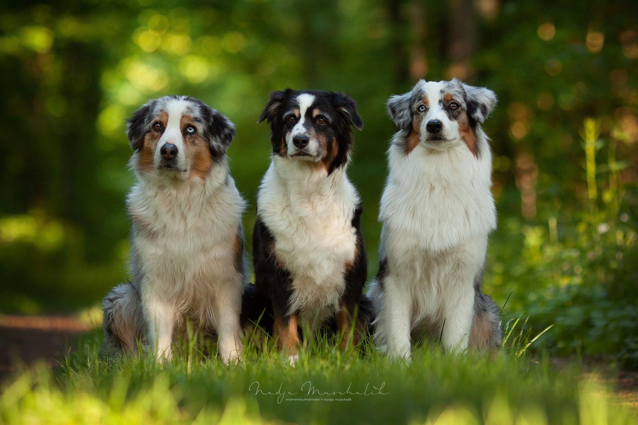Gruppenbild_web